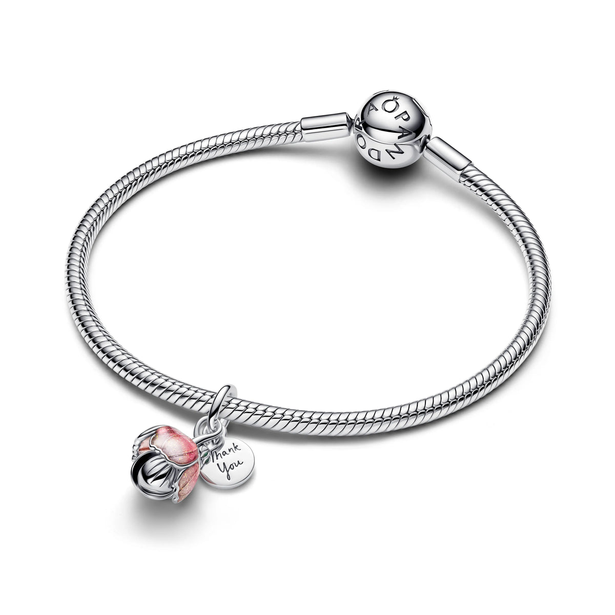 PANDORA 764453C01