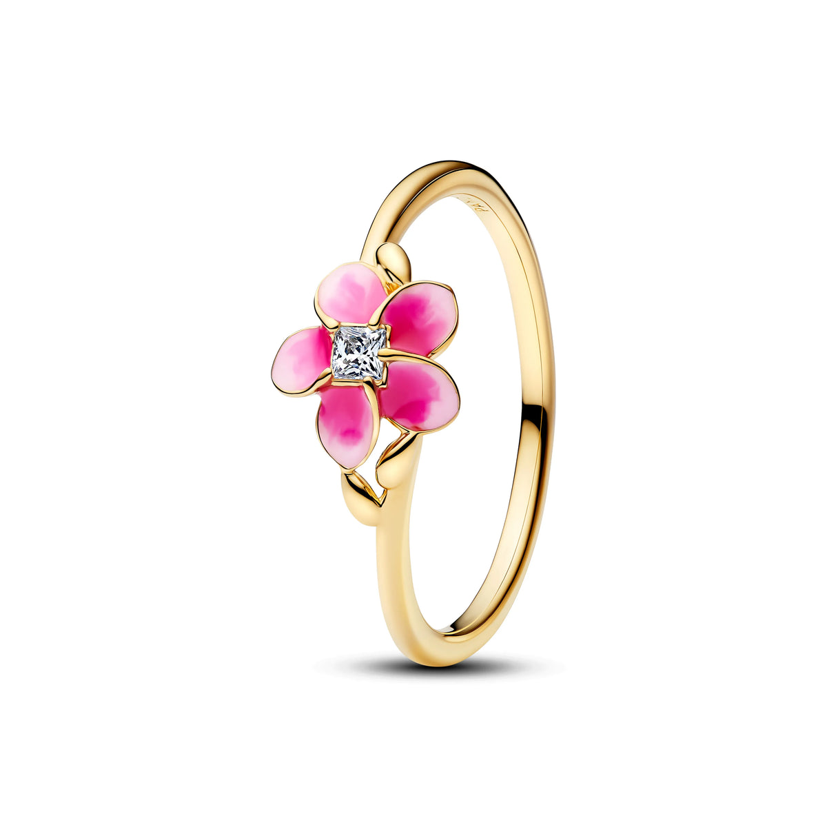 PANDORA 163844C01