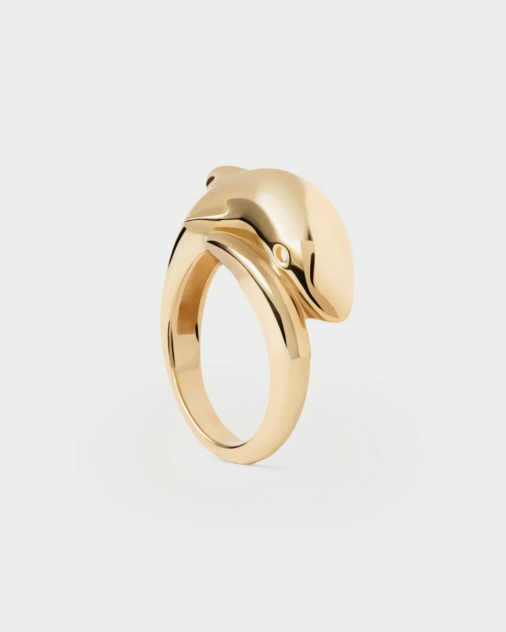 Anello da donna PD Paola DOLPHIN - AN01 - D50 - 08 - Simmi Gioiellerie - Anelli
