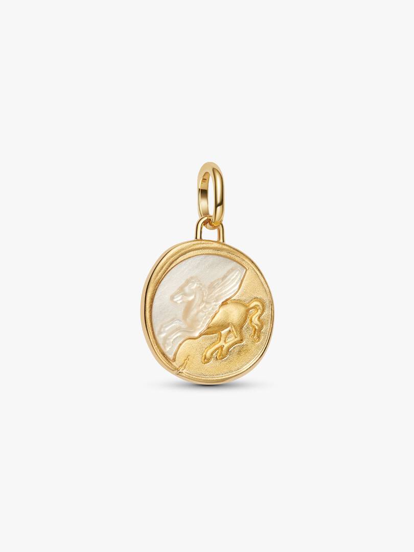 Charm Medallion Pegaso "Ex Animo" - 764090C01 - Simmi Gioiellerie - Charm