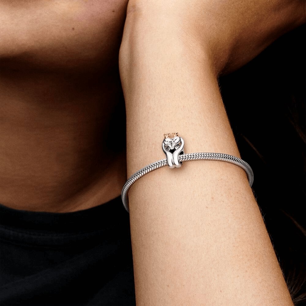 Charm Cigni e cuore bicolore - 799315C00 - Simmi gioiellerie -Charm