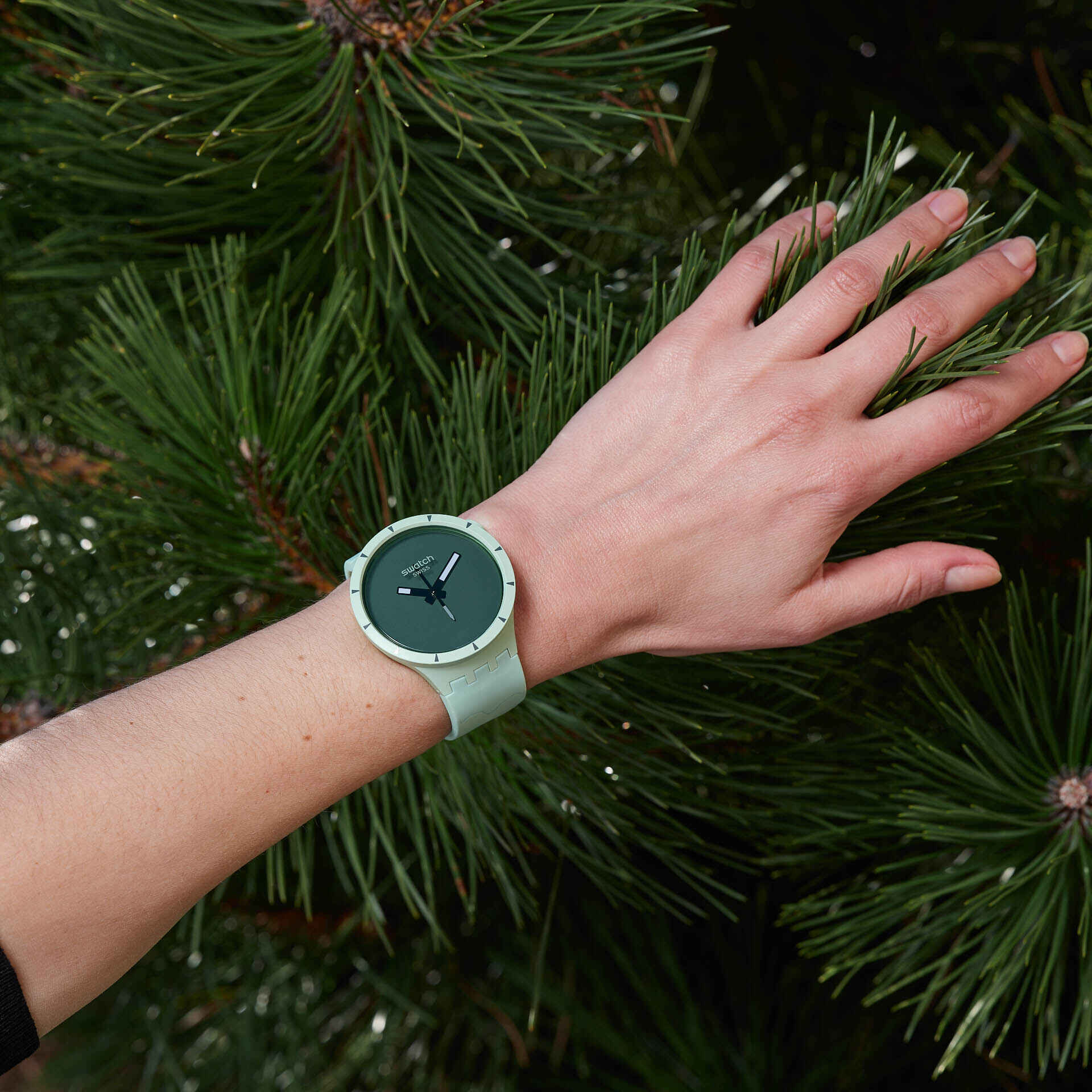 COLOURS OF NATURE BIG BOLD BIOCERAMIC FOREST - SB03G100 - Simmi Gioiellerie -Orologi